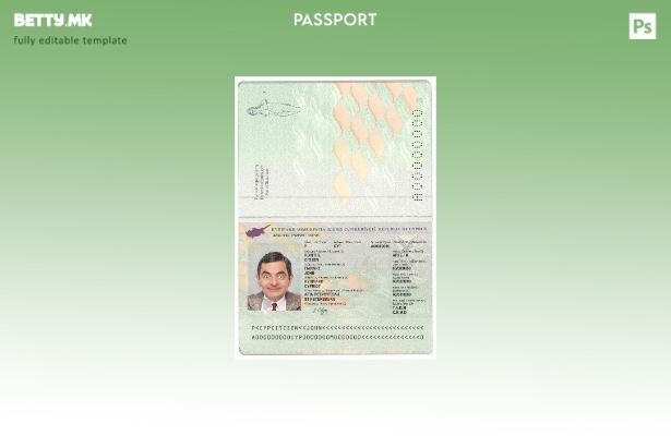 Модерен стил шаблон за кипарски пасош